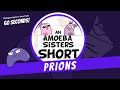 Understanding Prions