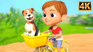 Bingo Dog Song - Preschool Nursery Rhymes & Kindergarten Videos