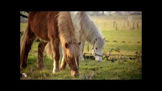 Folge 78 Lisa Marie Koroll bei Familie Dr  Kleist   ist Clara nun lesbisch