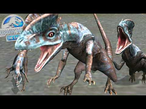 DRACOVENATOR DINOSAURIO MAXIMO NIVEL 40 y bandada de dinosaurios hibridos Jurassic World El Juego