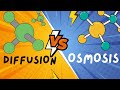 Exploring Diffusion and Osmosis Principles