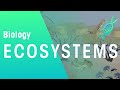 Ecosystem Dynamics and Interactions