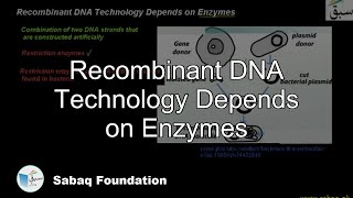 Recombinant DNA Technology Depends on Enzymes