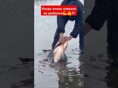 На рыбалку с топором😂!!! Рыбалка без удочки!!! #клубрыбаков #рыбалка #fishing #юмор #рыба #толстолоб