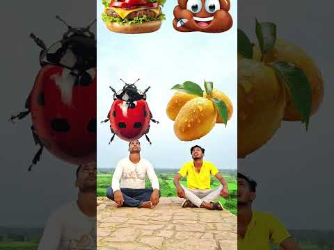 tu Radha meri mein shyam Tera 🌺💕🕉️🙏 #radhakrishna #shortvideo #radha #krishna #eatingchallenge