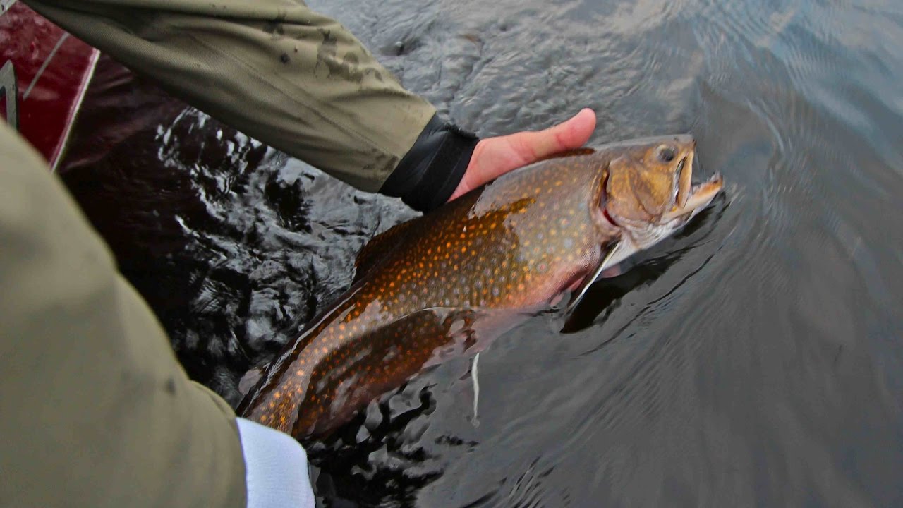 Coaster Brook Trout - Lake Superior - The New Fly Fisher