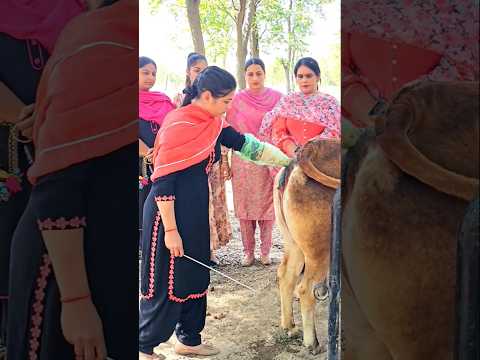 AI DOCTOR | ARTIFICIAL INSEMINATION  TRAINING | DAIRY FARMING
