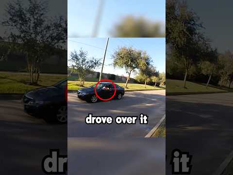 Biker causes MAJOR Incident! #biker