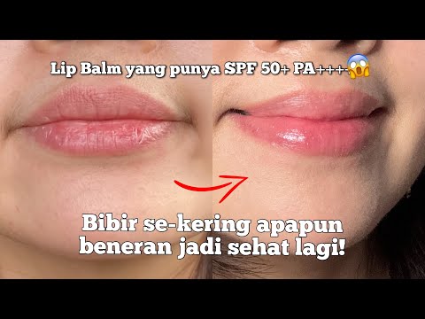 SALAH 1 BEST BUY DI TAHUN 2024! LIP BALM BER SPF YANG GERCEP ATASI BIBIR KERING NGELUPAS