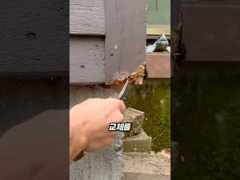수리