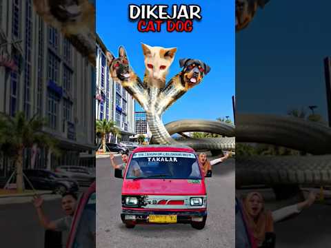 Apa❗Dikejar Ular dan Anjing ❗Begini Cara Buatnya❗#editing #tutorial