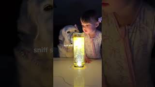 Tumeric Trend with our Daughter and Golden Retriever!
