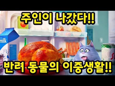 "슈퍼배드" 제작진이 작정하고 만들어서 재밌다고 소문난 미국 레전드 애니.. ㅎㄷㄷ