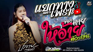 ของตายให้อ้ายตัวะเล่น + แยกทางเพราะห่างเหิน | คอนเสิร์ต ปลาย กนกพร | #ชวมิตรมิวสิคออนทัวร์