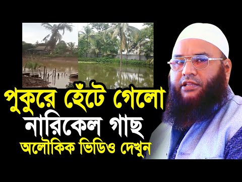 পুকুর পাড়ের নারিকেল গাছ হেঁটে গেল পানির ভিতর ! অলৌকিক ভিডিও দেখুন Maulana Abul Kasem Sarkar