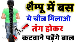 शैम्पू में इसे मिलाकर 2 बार लगाया बाल हो इतनी लम्बे कि कटवाने पड़े 99% लोग नहीं जानते ये तरीका