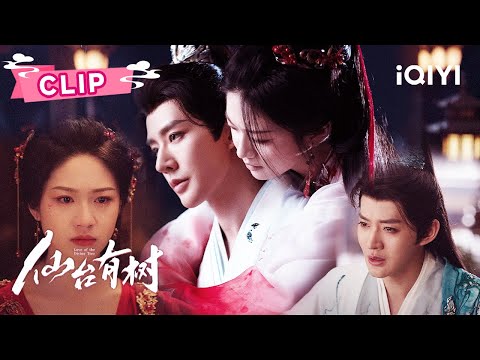 Clip：偷亲师傅开启禁忌之恋💕纯恨狼崽徒弟爆改纯爱奶狗🥺傲娇吃醋😤苏易水遇情敌上演修罗场| 仙台有树 Love of the Divine Tree |邓为 向涵之| ✦爱奇艺东方奇幻✦