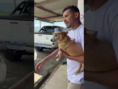 Criança deixa pai ficar nervoso 