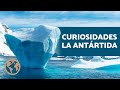 Explorando la Antártida