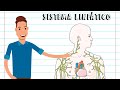 Lymphatic System Concepts and Functions