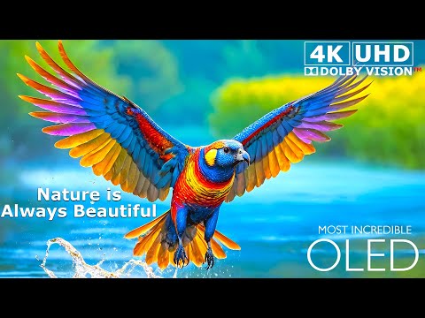 World&#39;s Most Incredible Nature 4K Video | Best HDR 8K Video Ultra HD | Dolby Vision™ Demo &#127757;