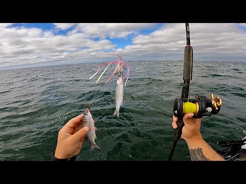 FOUR Hours Of Kayak Ocean Fishing | Surf Launches, Trolling, Jigging, & Chunking The Coast