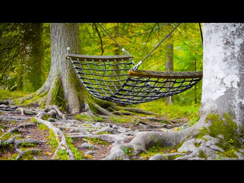 Beautiful Piano Music - Relaxing Music, Study Music, Stress Relief, Sleep Music (Elijah)