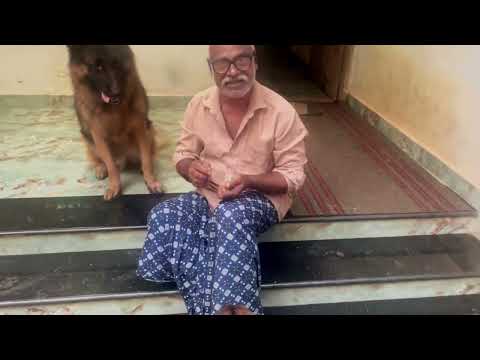 എന്നെ നിയന്ത്രിക്കാൻ എനിക്ക് അറിയാം😎😎|Laika|Leo|Chottuz|Dileepkumar