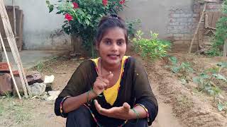 हमें बर्बाद करने वाले कौन है 😱 अब सच्चाई सामने आएगा देखिए | @MonikaRajbhar