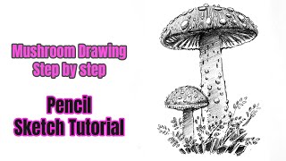 How to draw a mushroom step by step