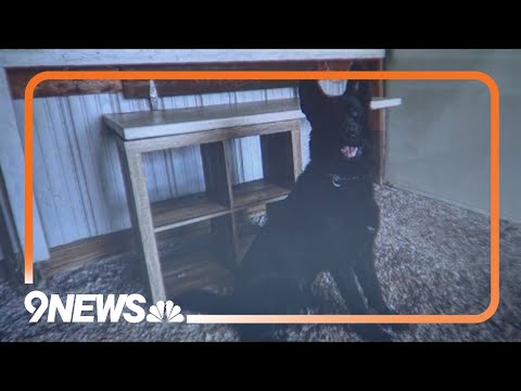 YouTube video thumbnail: Dog Kills 3-Year-Old Child of Colorado Police Chief