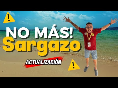 SIN SARGAZO  / puerto Morelos ✅  ( actualización )