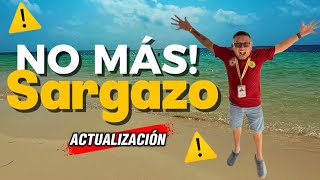 SIN SARGAZO  / puerto Morelos ✅  ( actualización )