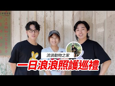 一日浪浪照護巡禮 流浪動物之家｜展榮展瑞K.R. Bros