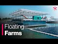 Floating Farms and Urban Agriculture