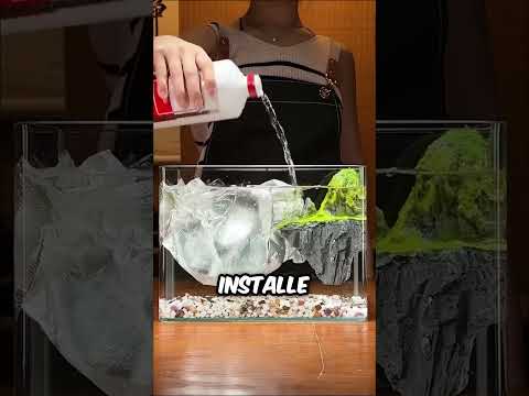 Cette femme a construit un aquarium pour des poissons!