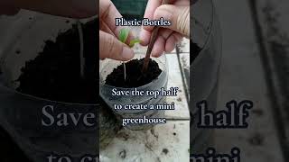 3 Budget-Friendly Gardening Tips 🌱 Start Seeds, DIY Containers & Make Compost