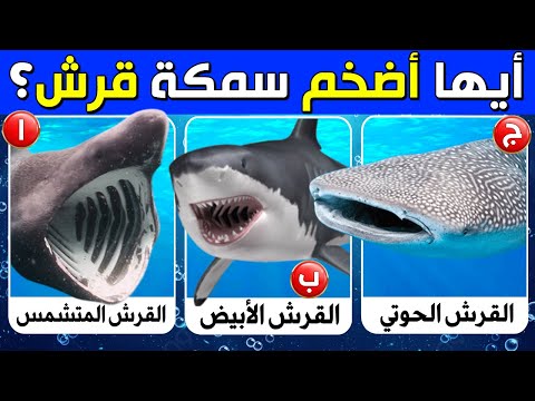 أسئلة وأجوبة ومعلومات ثقافية مفيدة عن الحيوانات | ألغاز للأذكياء | 50 سؤال