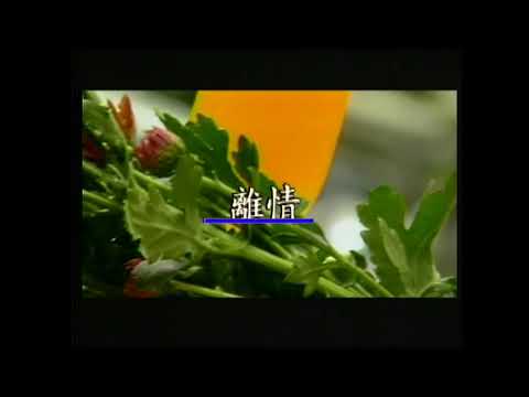 謝采妘 離情 DVD版