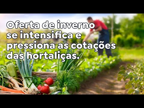 Oferta de inverno se intensifica e pressiona as cotações das hortaliças.