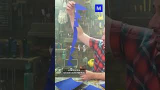 Dá para COZINHAR com LUPA? | Cortes do Manual do Mundo