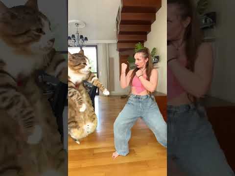 JA VS MÓJ KOT KAŻDEGO DNIA