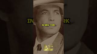 What happened to Fabrizio in the Godfather? #francisfordcoppola #mariopuzo #alpacino #thegodfather