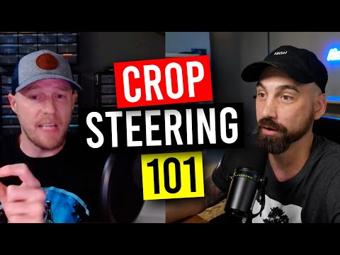 The Basics Of Crop Steering Your Plants To a Higher Quality & Yield! (Garden Talk #146)