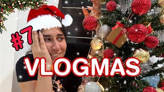 VLOGMAS #7 Armamos el ÁRBOL DE NAVIDAD🎄✨