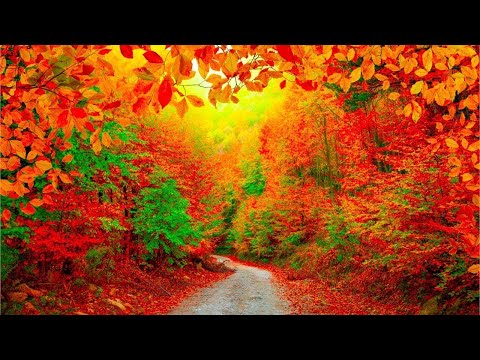 Beautiful Relaxing Hymns, Peaceful piano Music, &quot;October Autumn Colors&quot; in 4k by Tim Janis