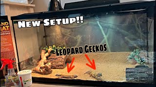 Tank Setup For Leopard Gecko Videos Kansas City Comic Con
