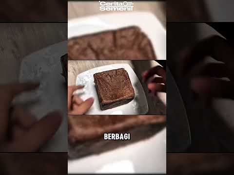 Langsung dikasih paham sama kucing