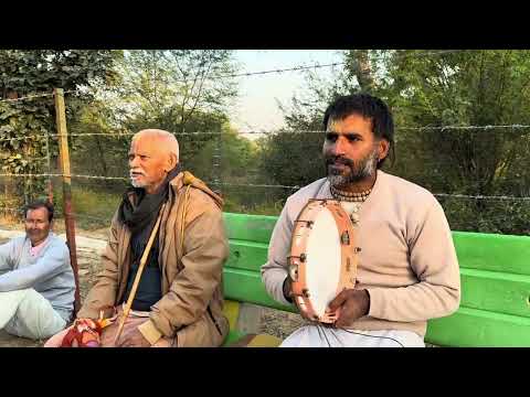 Radharani Bhajan ।। राधारानी श्यामा प्यारी अपनों ही कर लीजे ।। बरसाने वारी के प्रति समर्पण भावों ।।