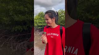 រកងាវភក់តាមដៃព្រែកជិតៗផ្ទះ បងប្អូនណាអត់ស្គាល់អាចមើលបាន/Finding sea food near the bach